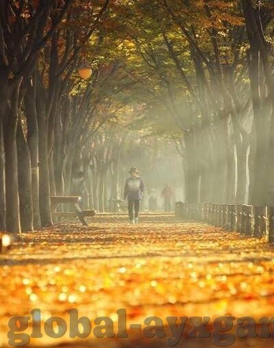百家乐有什么技巧-百家乐,掌握技巧,提升胜算