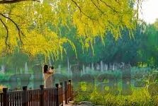 足球比分奖金-揭秘足球比分奖金，一场比赛背后的财富密码与行业生态