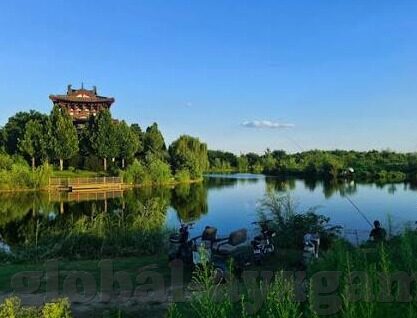 足球比分竞-足球比分竞,绿茵场外的激情博弈